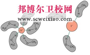 极性溶剂