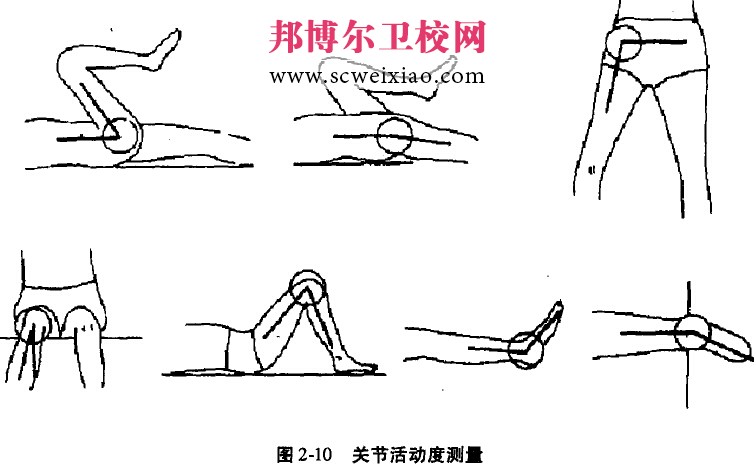 主要关节的活动度测量的操作方法(图2-8,图2-9,图2—l0)与正常值(表2