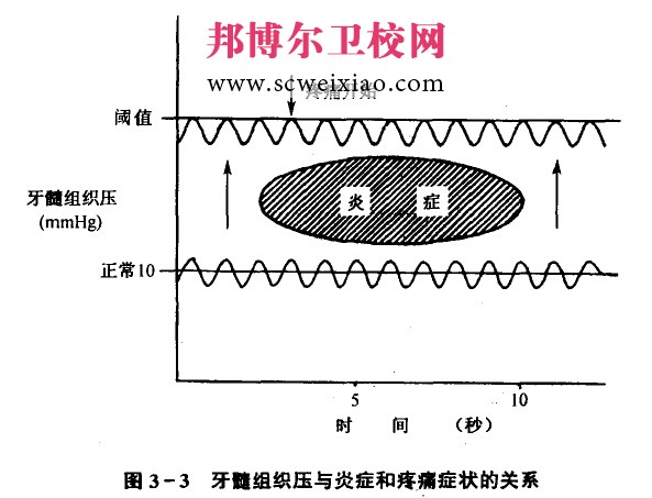 牙髓病的临床特点