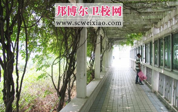 江苏省徐州医药高等专科学校