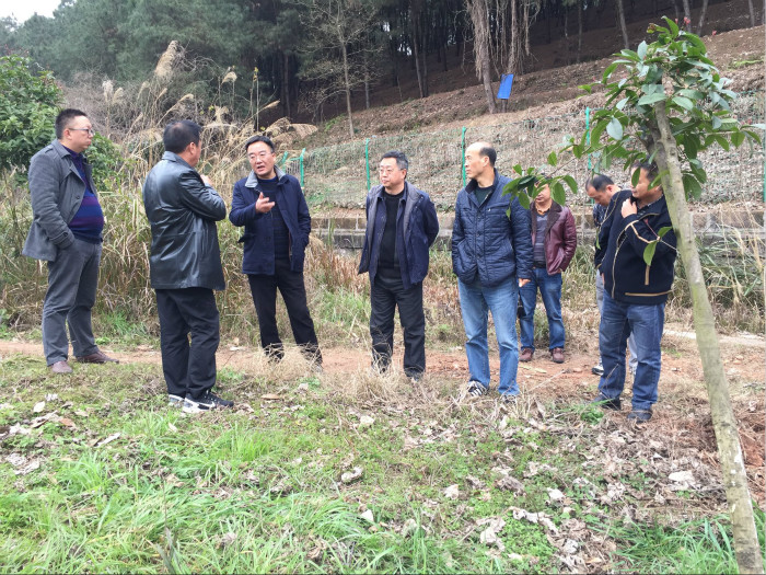 校领导现场办公指导校园环境建设工作