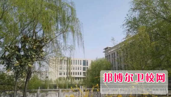 郑州2020年哪个大专学校卫校好