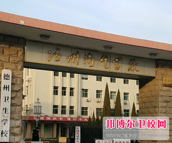 2023德州公办卫生学校有哪些 德州公办卫生学校名单一览表