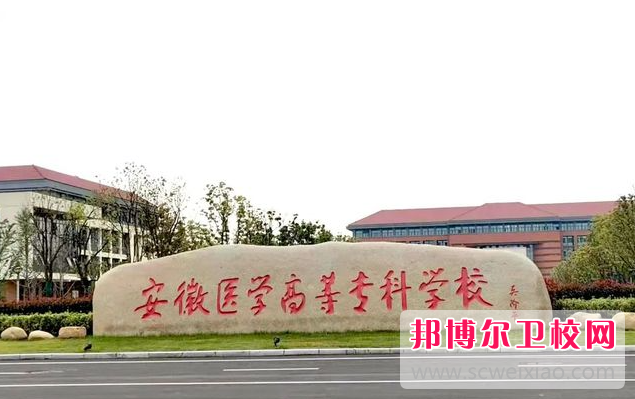 2023合肥公办卫生学校有哪些 合肥公办卫生学校名单一览表