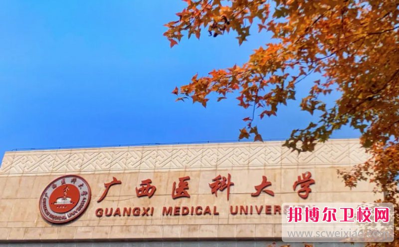 2023广西医科大学有哪些专业 广西医科大学开设的专业一览表