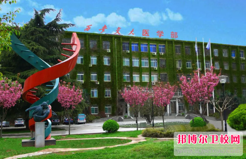 2023西安交通大学医学院有哪些专业 西安交通大学医学院开设的专业一览表