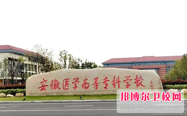 2023安徽助产护理学校有哪些 安徽助产护理学校名单一览表