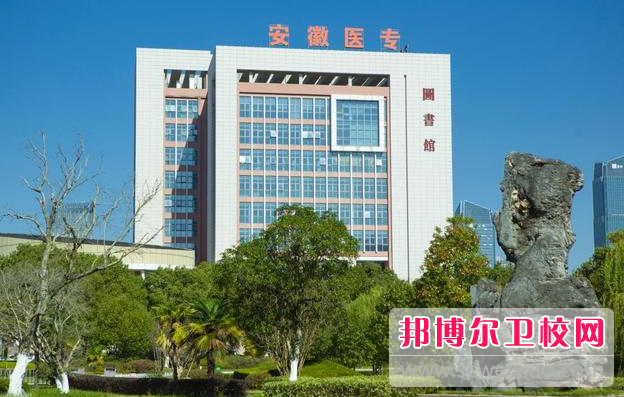 2023合肥助产护理学校有哪些 合肥助产护理学校名单一览表