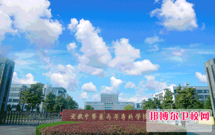 2023芜湖口腔医学学校有哪些 芜湖口腔医学学校名单一览表