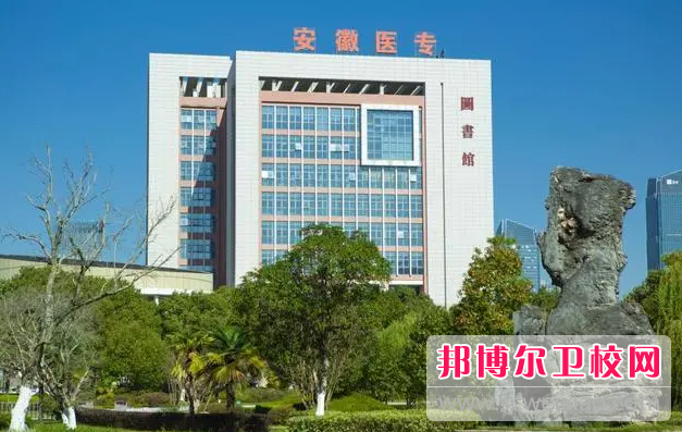 2023安徽临床医学学校有哪些 安徽临床医学学校名单一览表