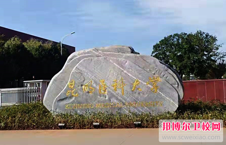 云南2023年哪些大学有护理学校大专