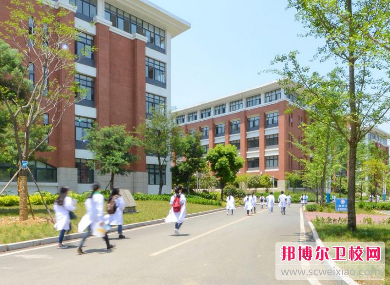 江苏2024年有哪些护理学校比较好