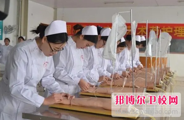 浙江2024年哪个护理学校就业比较好